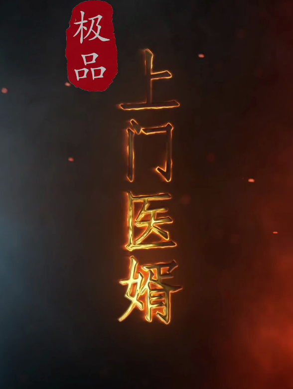 极品上门医婿第59集