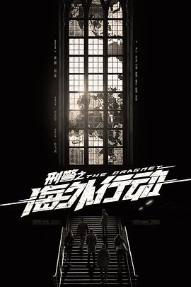 刑警之海外行动第26集