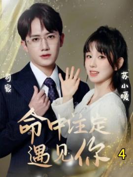 命中注定遇见你短剧全集(大结局)