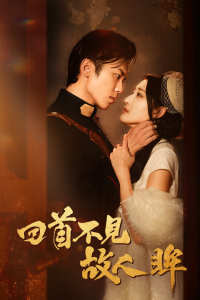 回首不见故人眸第17集