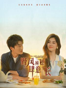 野风拂穗肆意生长第26集