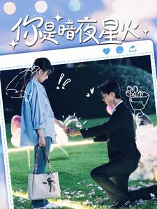 你是暗夜星火第25集