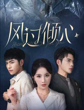风过倾心第15集