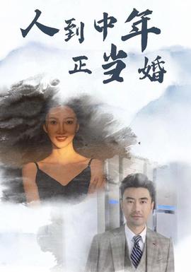 人到中年正当婚第25集