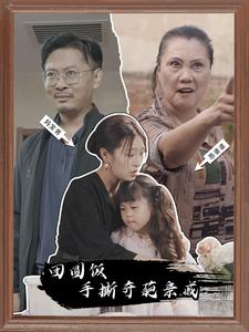 团圆饭手撕奇葩亲戚第21-40集完结(大结局)