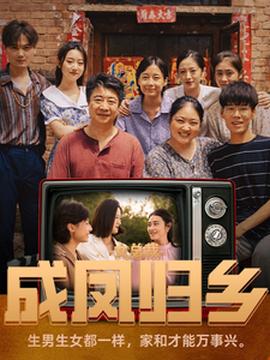 女总裁成凤归乡第21-40集