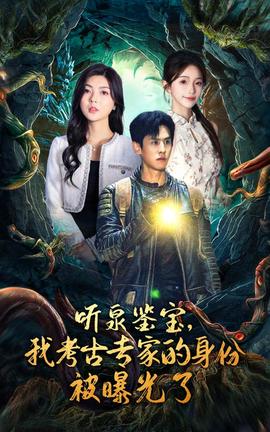 听泉鉴宝，我考古专家的身份被曝光了全集(大结局)