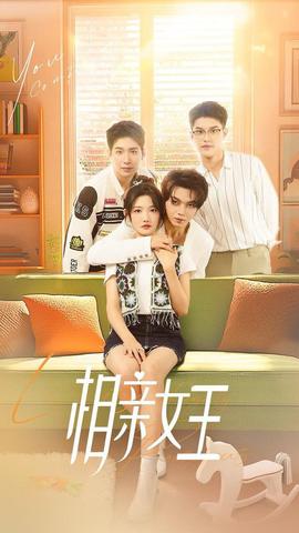 相亲女王第21-40集