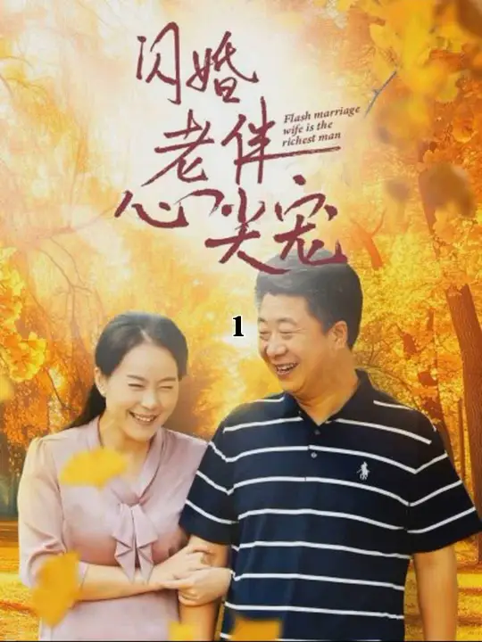 再回首闪婚之仍是心尖宠第28集