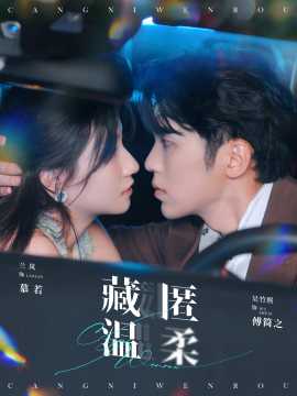 藏匿温柔第61-80集