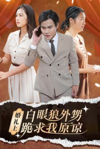 婚礼上白眼狼外甥跪求我原谅第30集