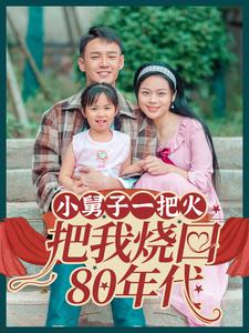 小舅子一把火把我烧回80年代第29集