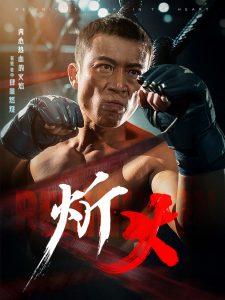 炘火第41-62集完结(大结局)