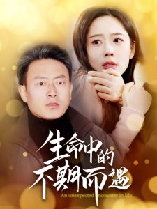 生命中的不期而遇第1-20集