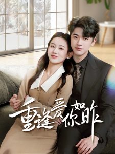 重逢爱你如昨第41-69集完结(大结局)