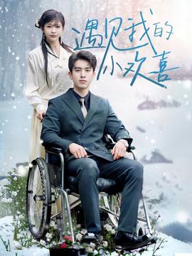 遇见我的小欢喜全集(大结局)