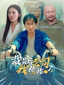 裁员后我把公司炸了第24集