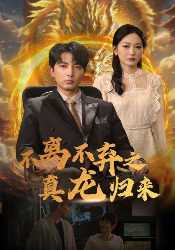 不离不弃之真龙归来第43集