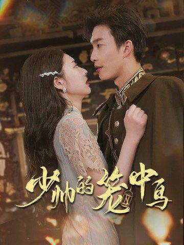 少帅的笼中鸟第47集