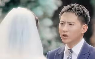 逆袭刘公子归来第61-80集