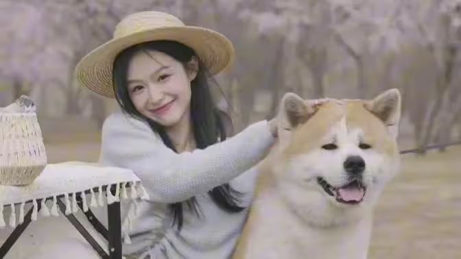 她似晚风过境时第65集