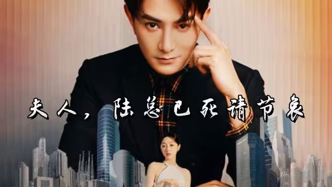 夫人，陆总已死请节哀第86集