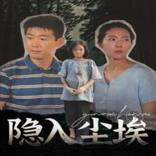 隐入尘埃全集(大结局)