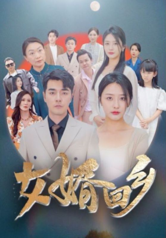 女婿回乡第49集