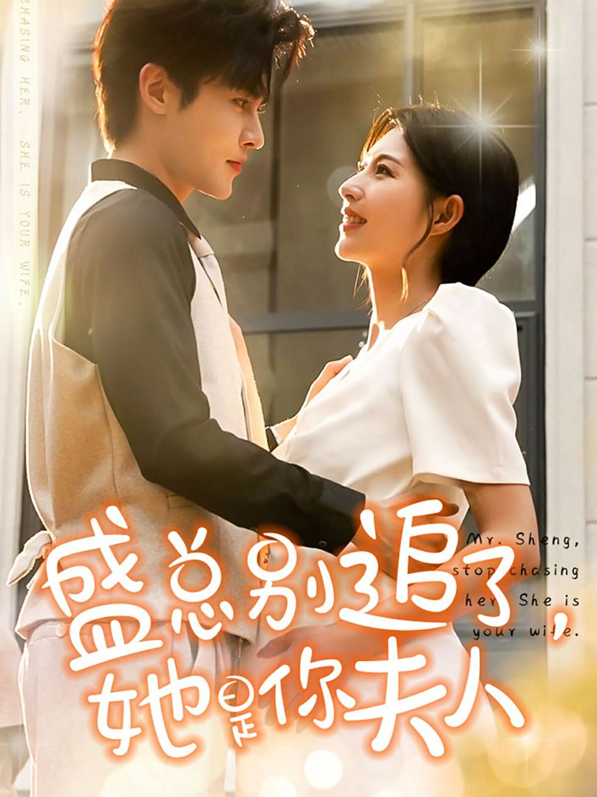 盛总别追了，她是你夫人第94集