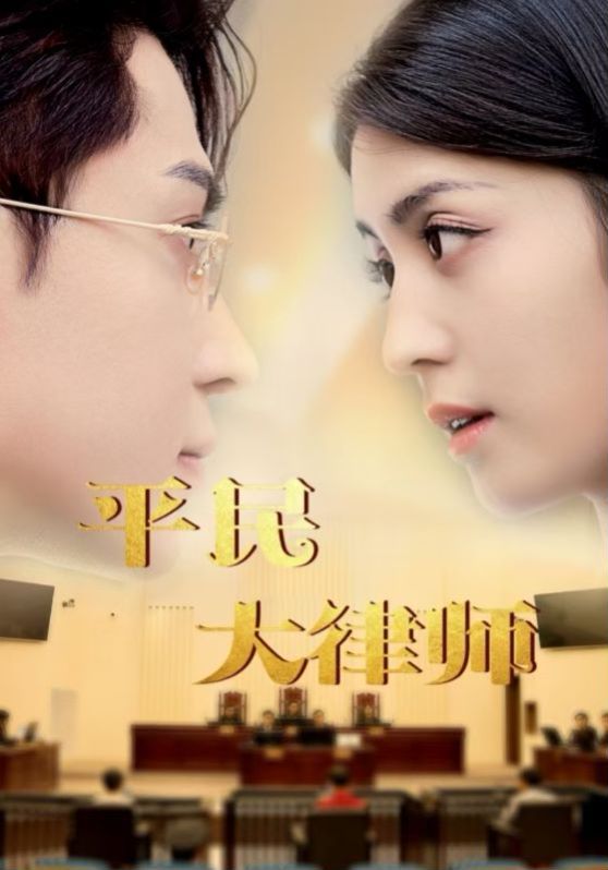 平民大律师第04集