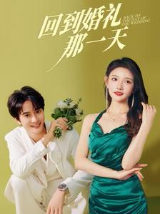回到婚礼那一天第78集