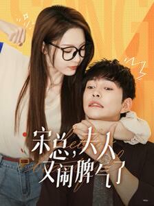 宋总，夫人又闹脾气了第22集