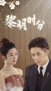 黎明时分全集(大结局)