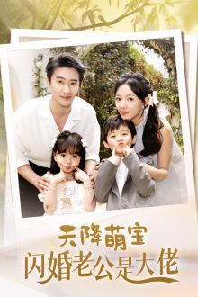 天降萌宝闪婚老公是大佬第16集