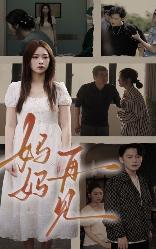 妈妈，再见第28集(大结局)