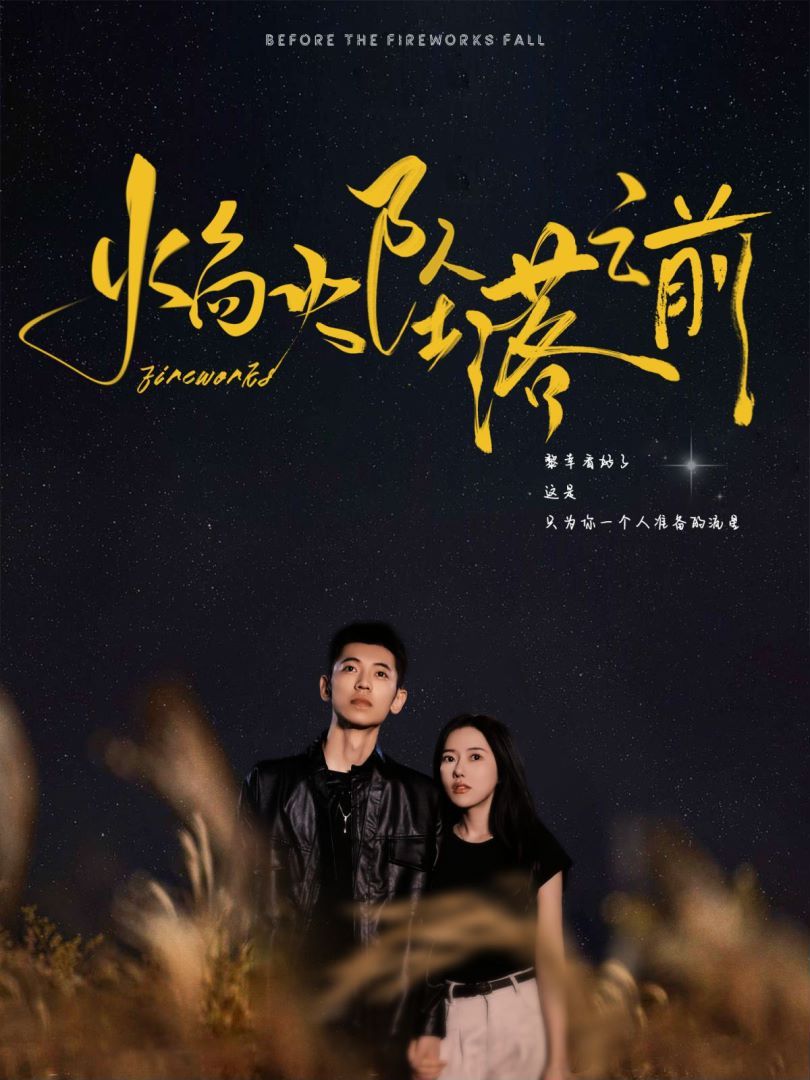 焰火坠落之前第17集