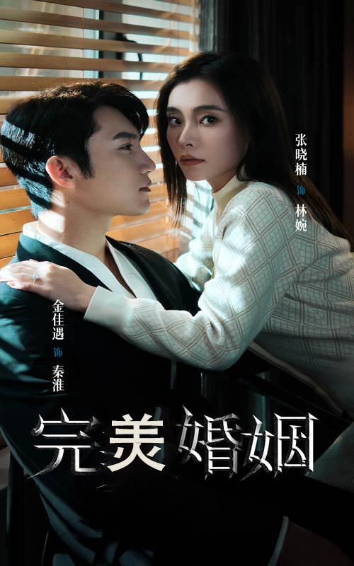 完美婚姻第46集