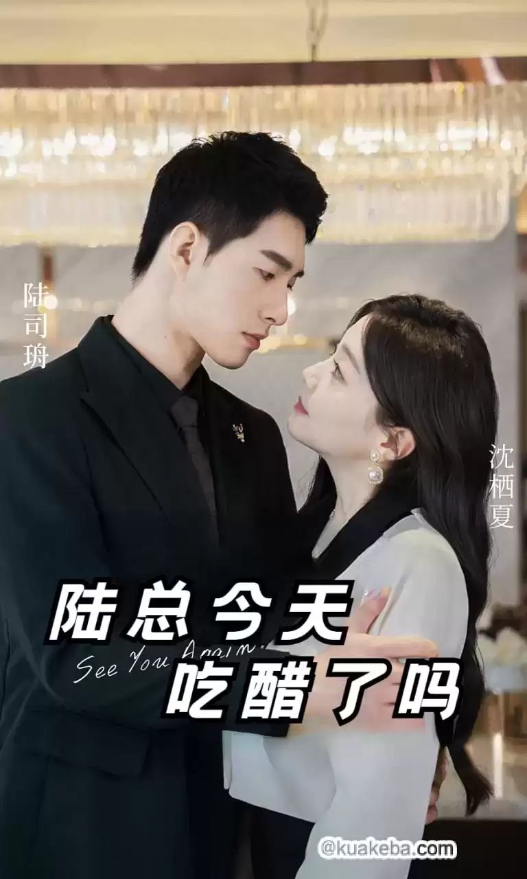 陆总今天吃醋了吗第29集