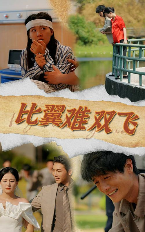 比翼难双飞第19集