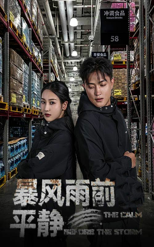 暴风雨前的平静第18集