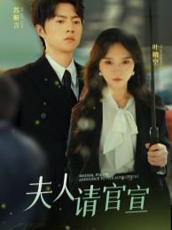 夫人请官宣第02集