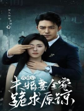 毁婚后未婚妻全家跪求原谅第25集