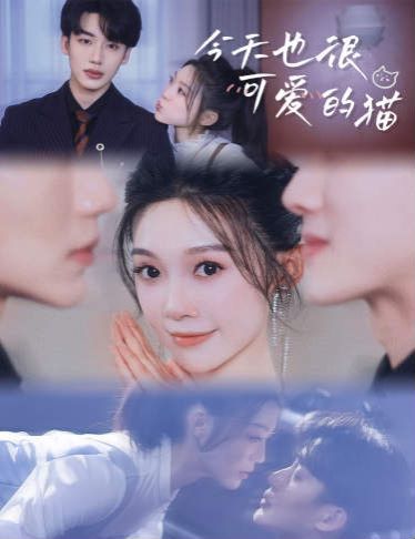 今天也很可爱的猫第16集