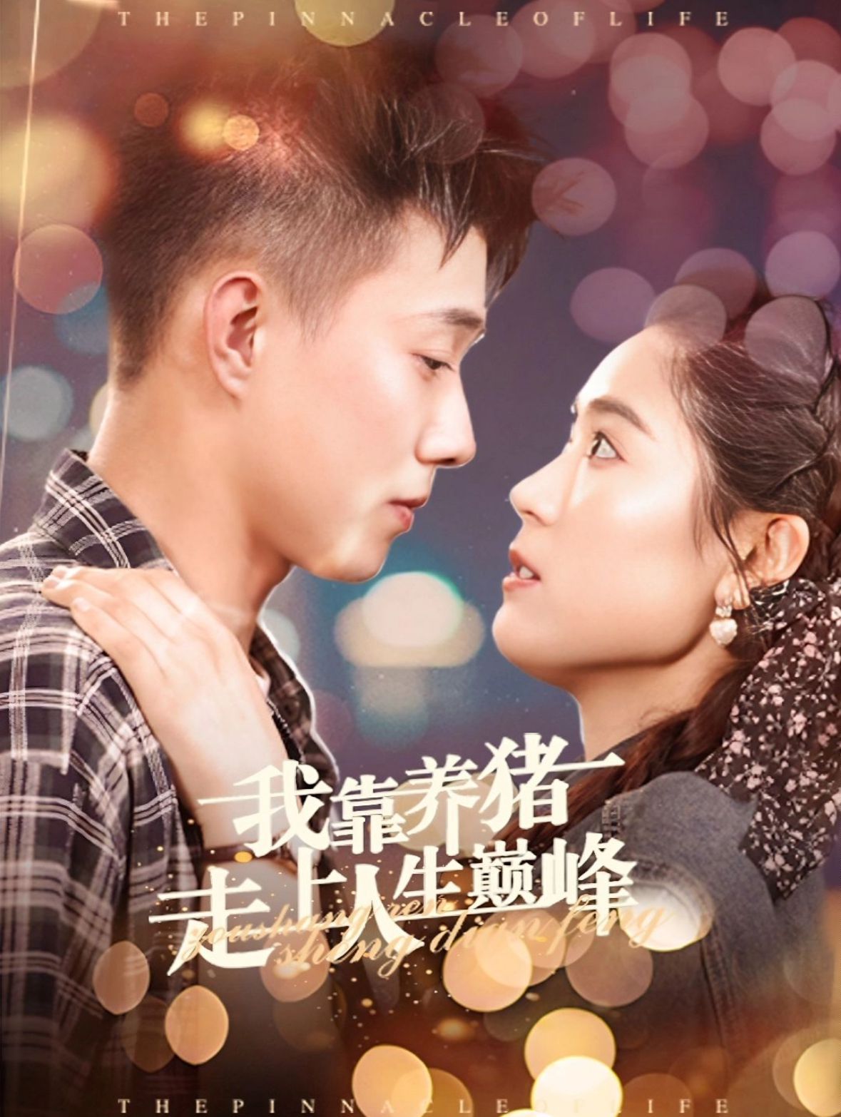 我靠养猪走上人生巅峰第22集