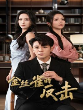 金丝雀的反击第23集