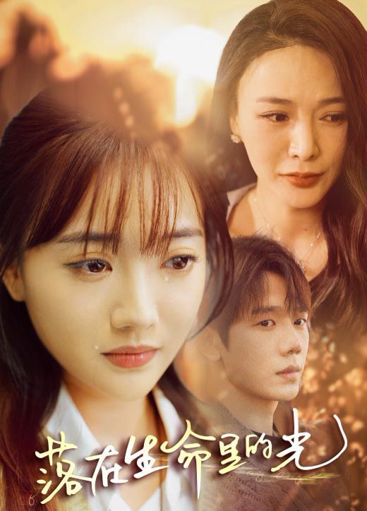 落在生命里的光第03集