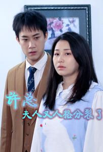 许总，夫人又人格分裂了全集(大结局)