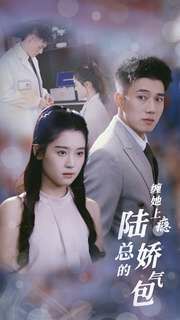 缠她上瘾陆总的娇气包第23集