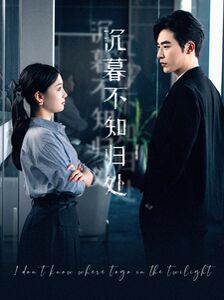 沉暮不知归处第33集