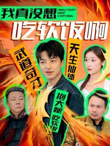 我真没想吃软饭啊第04集